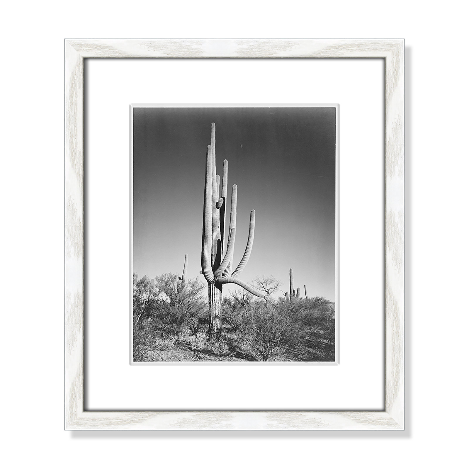 Saguaro National Monument Print by Ansel Adams, 15" H x 13" W x 0.75" D, White
