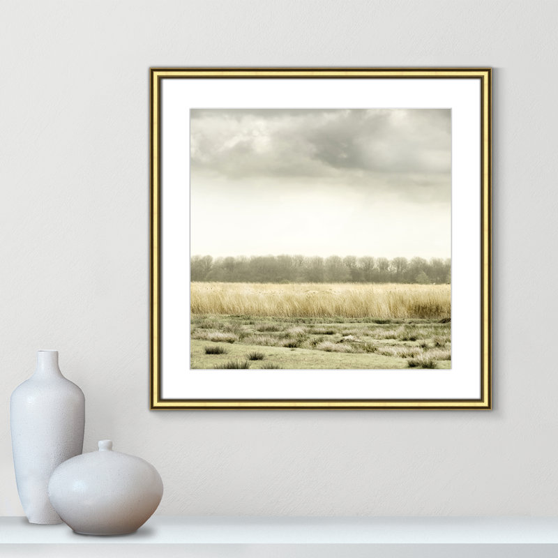 «Meadowland» par Danita Delimont - Photographie de cadre photo, Or, H 23,5 po x l 23,5 po