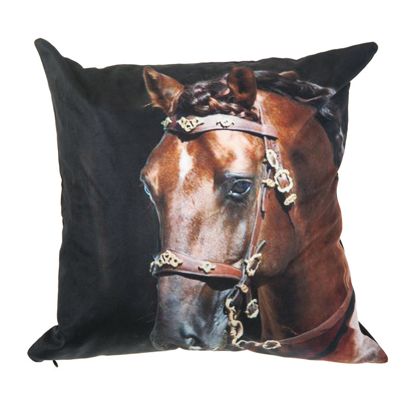 Coussin en velours Sipos