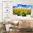Alvord Sunflowers Under Blue Sky-108893933