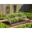 Garden Greenhouse CARFIZZI Silver 60 cm
