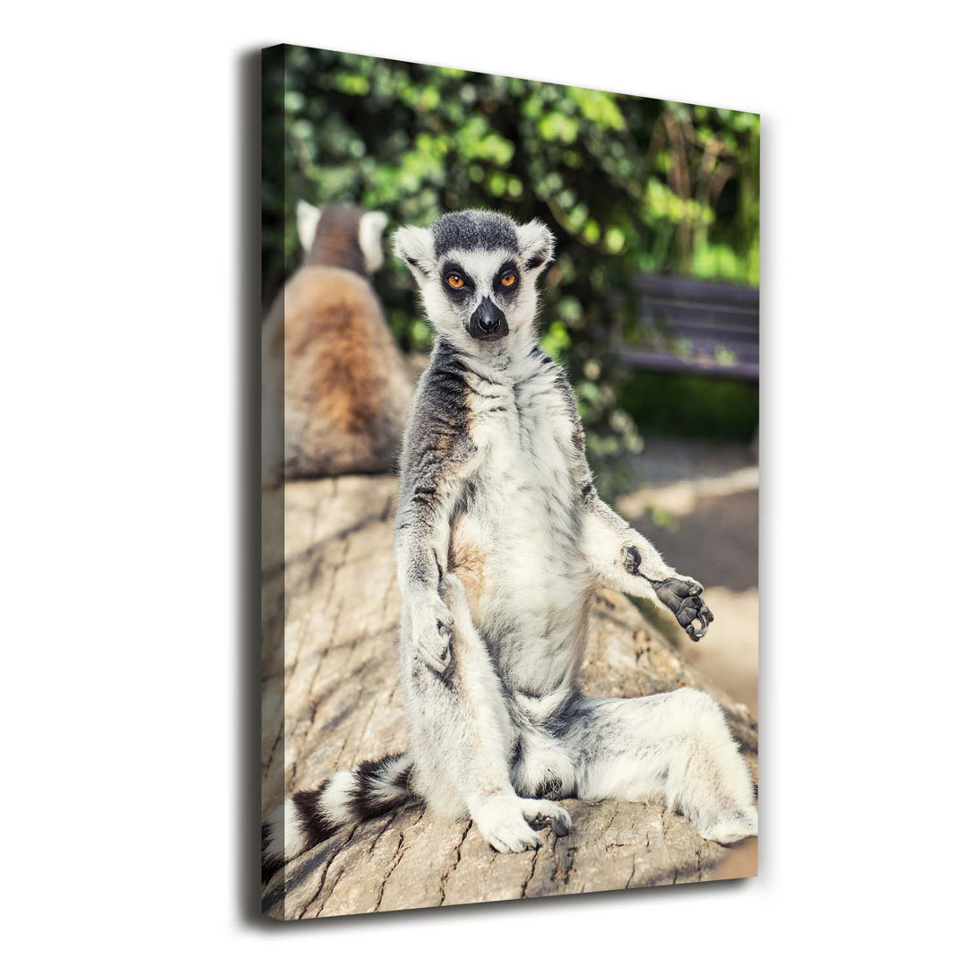 Lemur - Kunstdrucke auf Leinwand - Wrapped Canvas