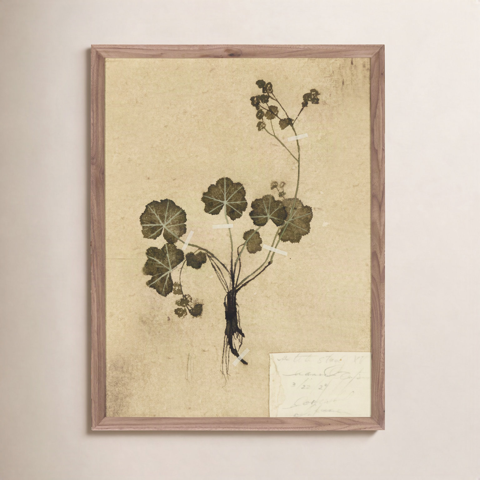 "Petite Study No. Vi" by Hannah Winters, 32" H x 24" W