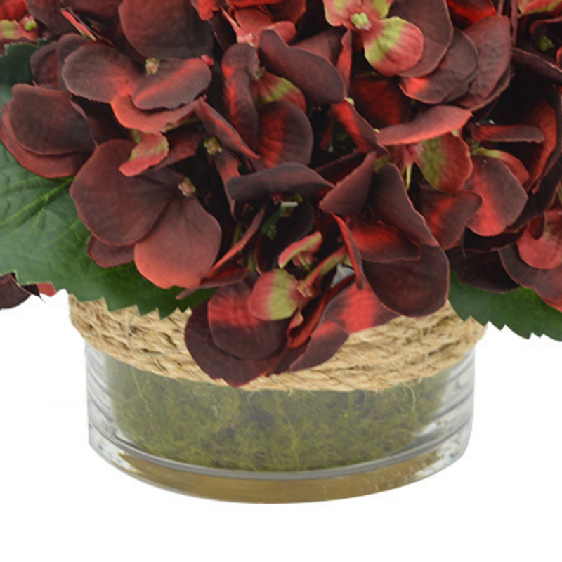 Cream Hydrangea in Rope Glass Vase, Burgundy