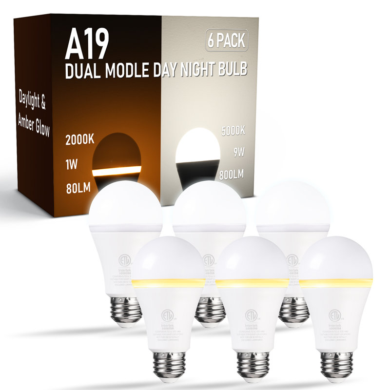 Ampoule DEL A19 double mode 9 W (équivalent 60 W), veilleuse à intensité variable, faible consommation, 800 lm, 5 000 K et 2 000 K, certifiée ETL, culot E26