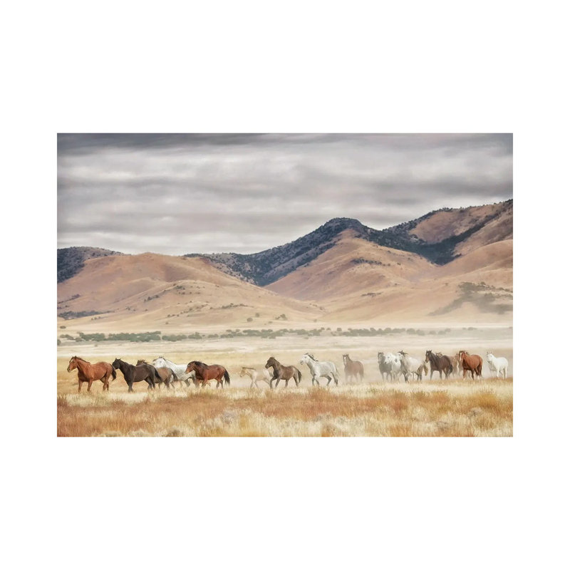 Horse Run II by PHBurchett - Wrapped Canvas Print, 20.32 cm H x 30.48 cm W