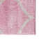 Llanet Geometric Area Rug