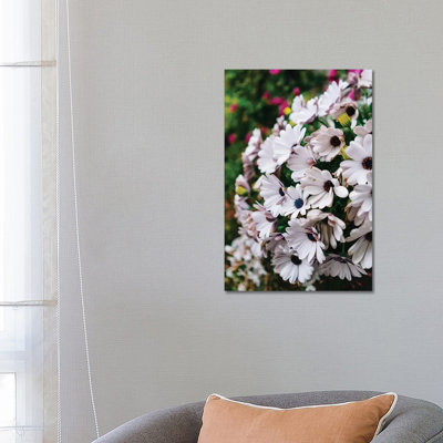 Positano Blooms V by Bethany Young - Print on Canvas