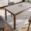 Silvino Extendable Dining Table