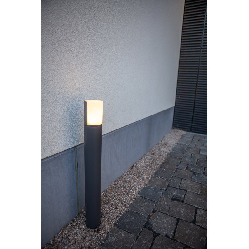 Avondale 1-Light Cone Pendant