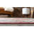 Oriental Indoor Rug-1474990566