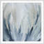 Cool Burst 2 Print