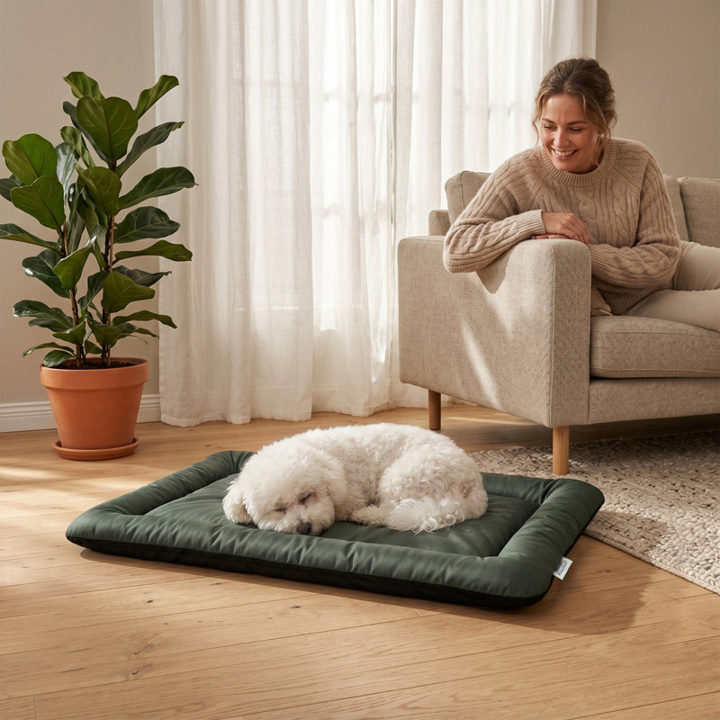 Pet Bed