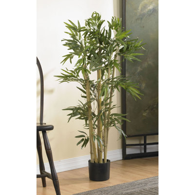 Multi Bambusa Bamboo Silk Tree