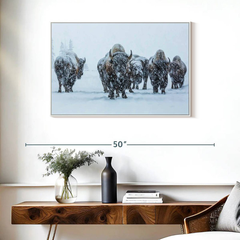 Bisons In Yellowstone National Park, 37" X 25", Floating Frame White