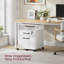 42cm Wide 2 -Drawer Mobile File Cabinet-944143020