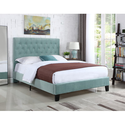 Kayden Upholstered Standard Bed