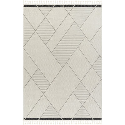 Indoor Rug