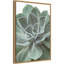 Reproduction de photo sur toile encadrée « Echeveria » par Assaf Frank-Floater