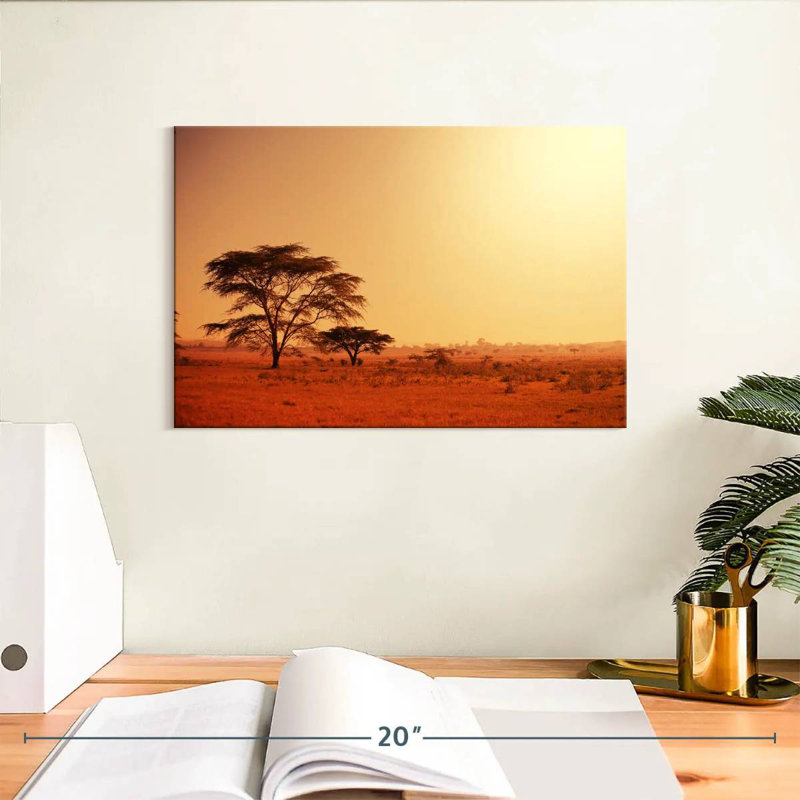 Nicci Namibia Quiver Tree, 8" H x 12" W