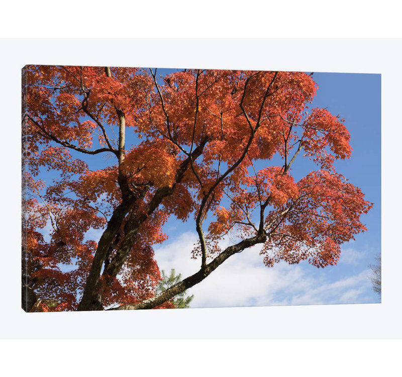 Reproduction de photo sur toile, H 18 po x l 26 po x P 1,5 po