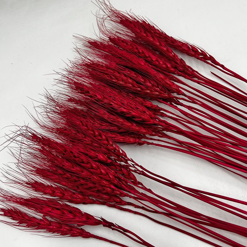 Bouquet de blé séché préservé Madaket, Rouge