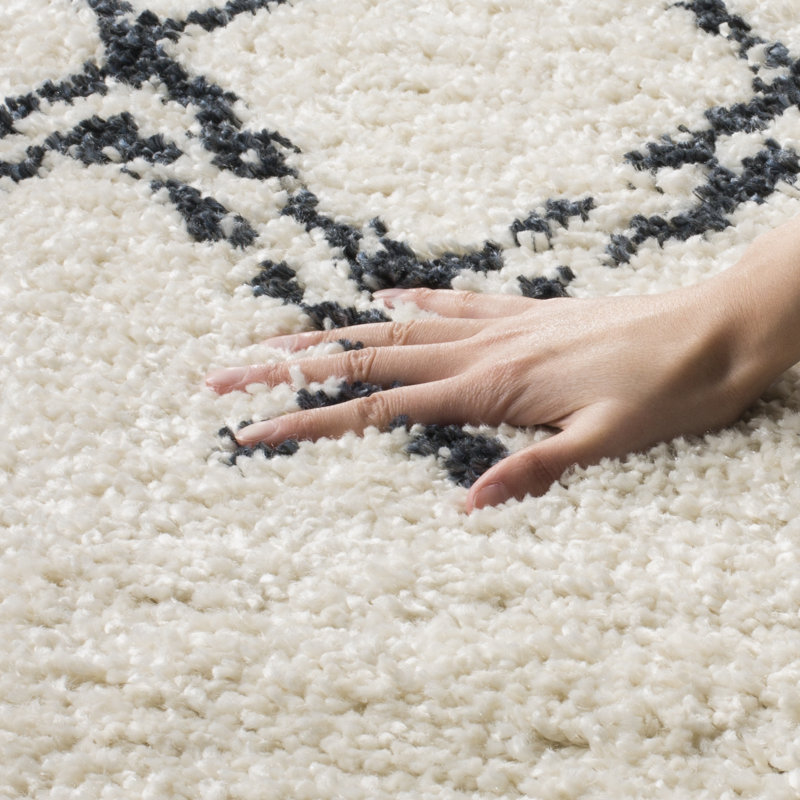 Polebridge Geometric Hand Woven Area Rug, Rectangle 155 x 229 cm