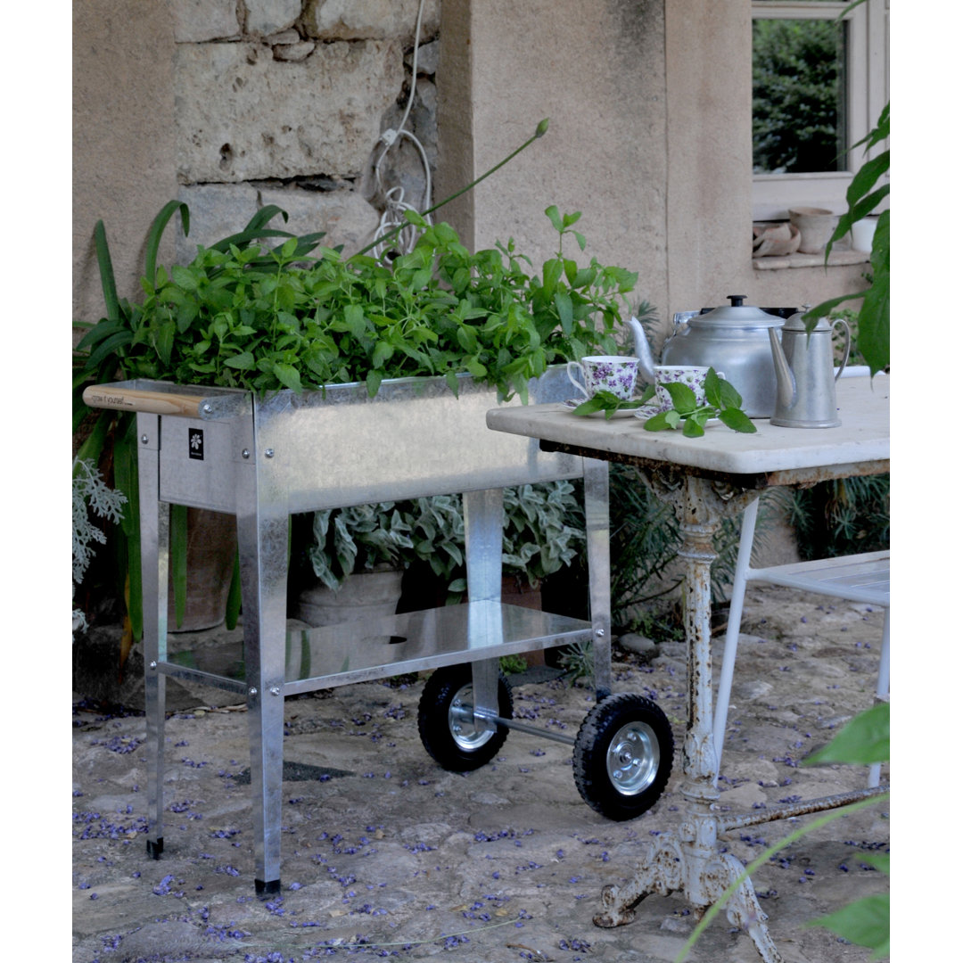 Herstera Metal Galvanized Steel Raised Garden Trolley Planter Herstera 