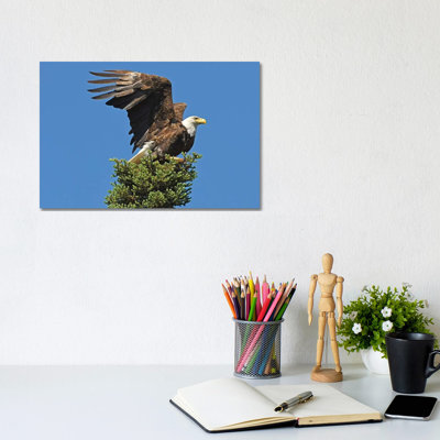 Taking Flight by Brian Wolf - Wrapped Canvas Print