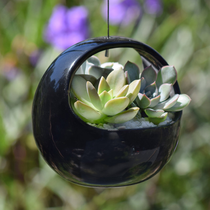 Pot à fleurs suspendu en céramique Farringdon, Noir