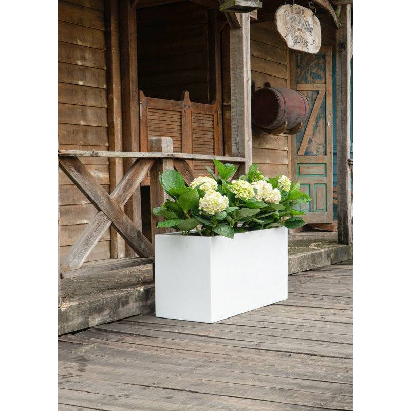Bac à fleurs en fibre de verre Connoisseur, Blanc lustré, H 8 po x l 8 po x P 20 po