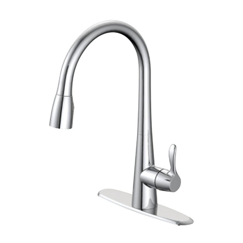 Oakbrook Collection Kitchen Faucet