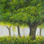 «Forest by Summer - Contemporary Seasons», reproduction encadrée avec passe-partout