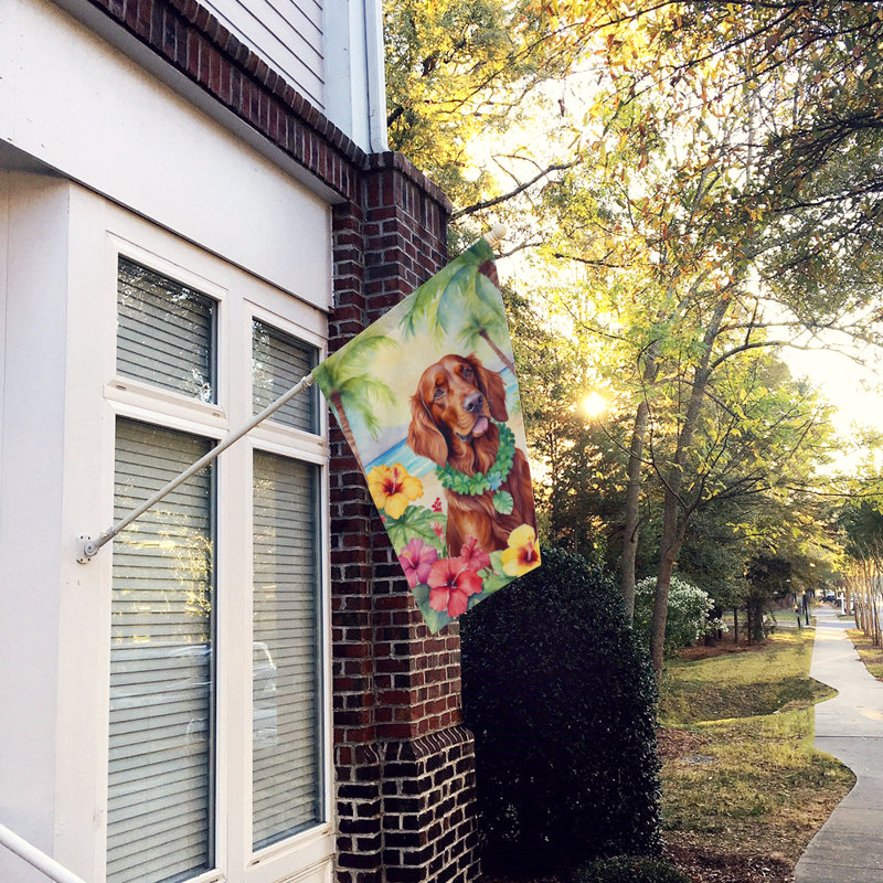 Double Sided 40'' H x 28'' W Polyester Animal House Flag