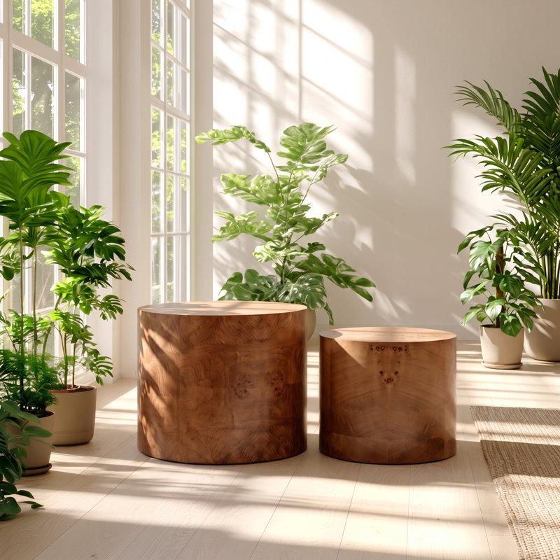 Ensemble de tables basses gigognes FS Furniture, 48 cm L x 48 cm P x 38 cm H, en placage loupe de bois