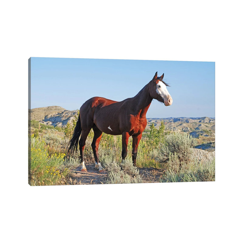 Blue Eye by Brian Wolf - Wrapped Canvas Print, 66.04 cm H x 45.72 cm W x 3.175 cm D