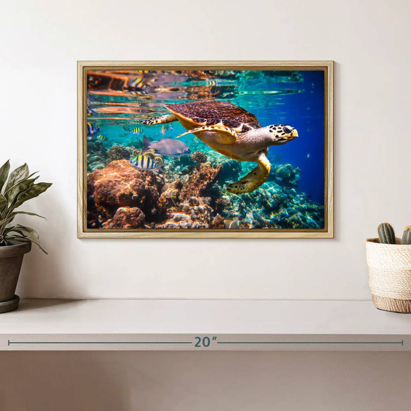 Vie marine vive, Cadre flottant en bois naturel, 13 po x 9 po