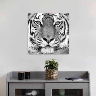 Tiger Contemporary Tiger Wildlife Art