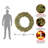Downswept Douglas Wreath with Warm-1431029183-1431029170
