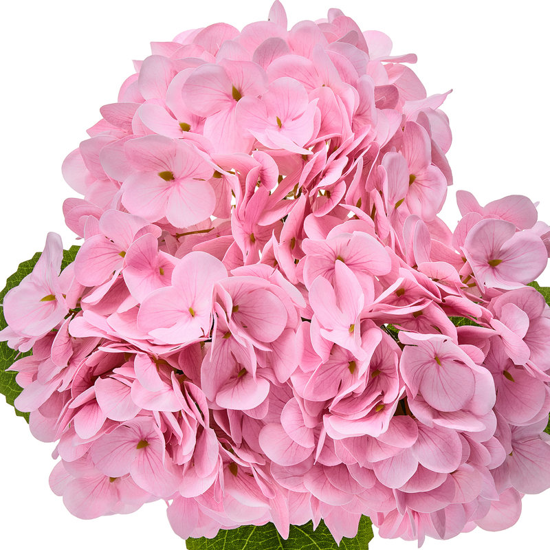 18" Pe Hydrangea Bundle, Pink Pe Hydrangea Bundle