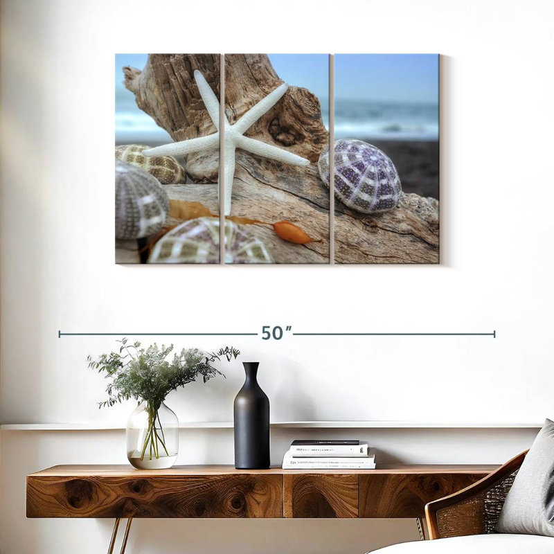 White crescent beach shells vii Aletra, H 24 po x l 38 po