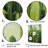 " Green Cactus Contour Collage "-1227066744-1227066726