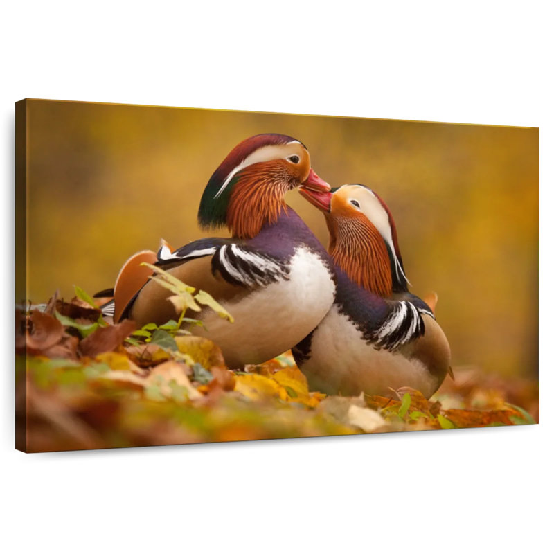 Brampt adorant les canards mandarins, H 30 po x l 45 po