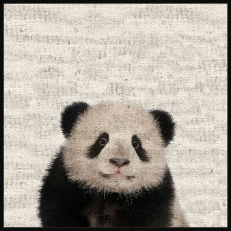 Huggable Panda - Floater Frame Print on Canvas, 122 cm H x 122 cm W x 4 cm D