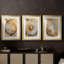 ABSTRACT Series CCXIV - Impression sur mesure encadrée de qualité supérieure - 3 pièces-1650544288-1650544349