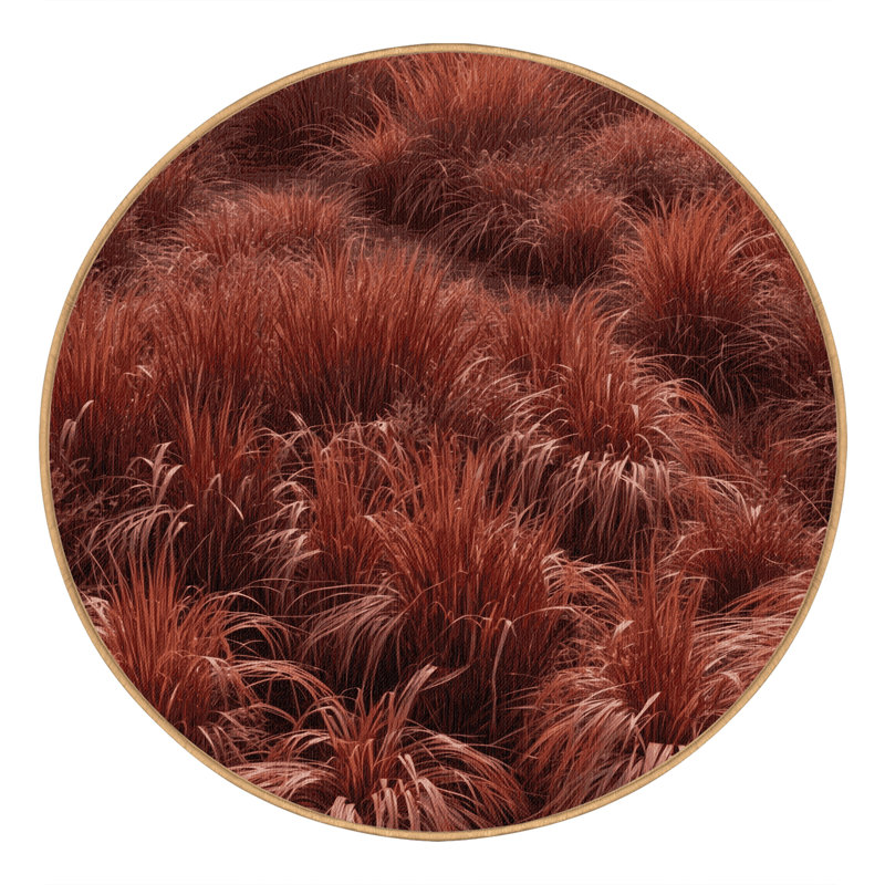 Tapis botanique brun lavable à la machine, Rond 4 pi