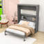 Armoire lit escamotable Murphy avec tablettes intégrées-106950507-106950512