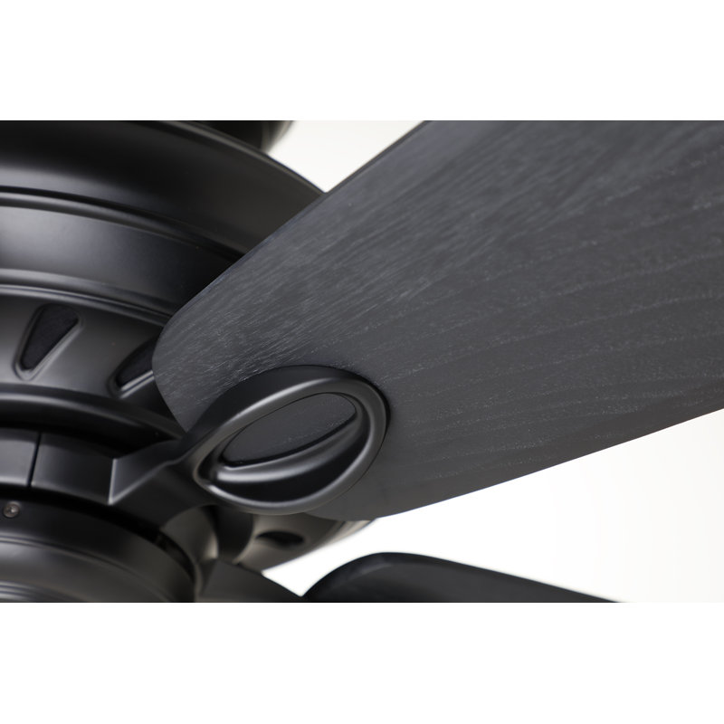 Ventilateur de plafond standard avec commande murale, Noir barbecue