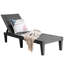 Brooksley Outdoor Chaise Lounge-1522786883