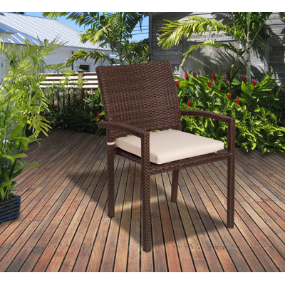 Sallie Wicker Brown Dining Armchairs (Set Of 2) by Beachcrest Home